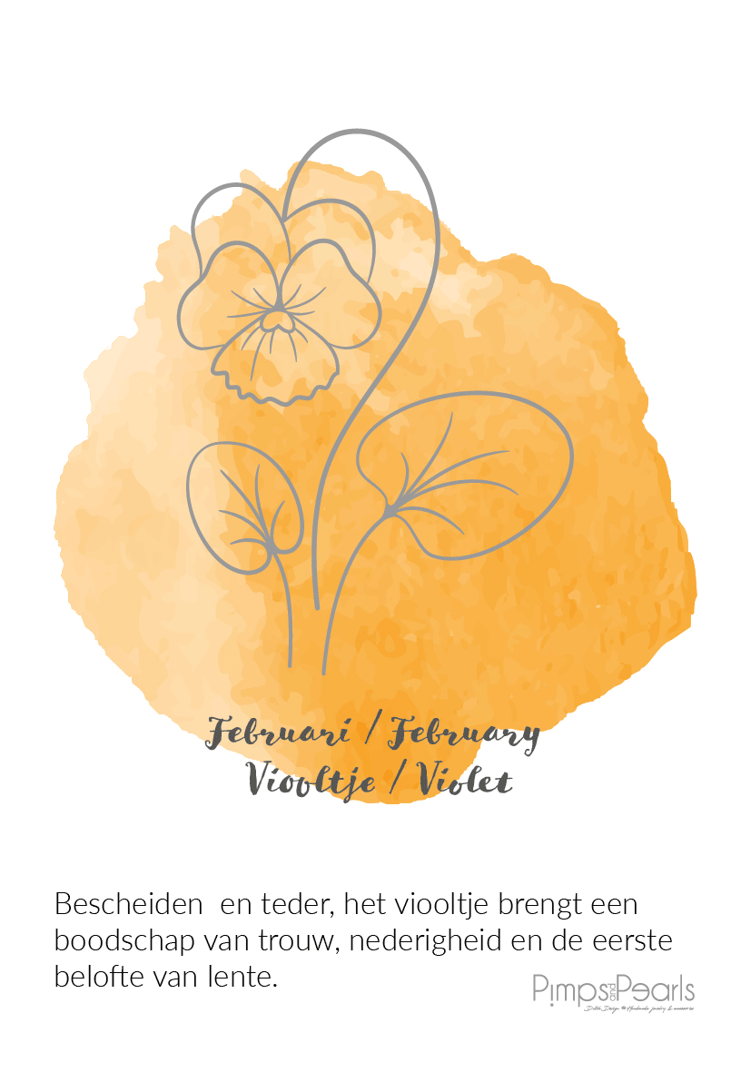 birthstone collectie februari viooltje pimpsandpearls pim